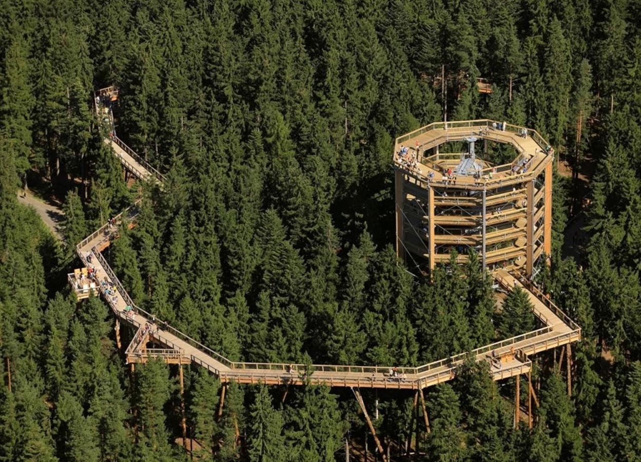 Apartman Lipno A12 ลิปโนนัดเวิลตาวู ภายนอก รูปภาพ